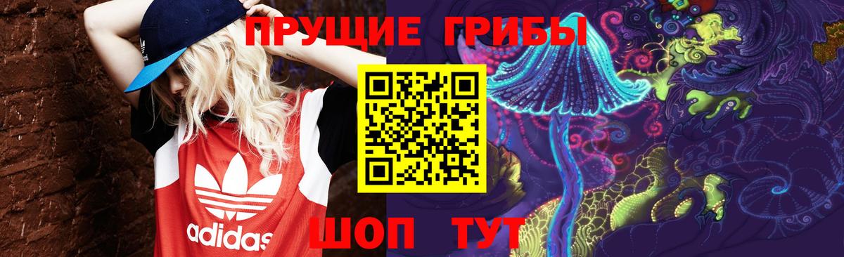 Набережные Челны  Псилоцибиновые грибы Psilocybine cubensis  Псилоцибиновые грибы Psilocybe  Вход с VPN 